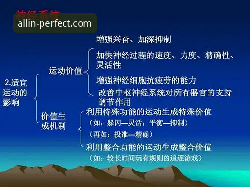 揭秘完美体育怎么玩：从注册到高阶技巧的完整技术评测